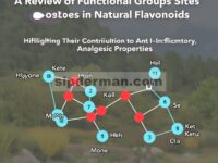 Kelompok Fungsional Organik dan Situs Substitusi Mereka dalam Flavonoid Alami: Tinjauan tentang Kontribusi Mereka terhadap Kemampuan Antioksidan, Anti-Inflamasi, dan Analgesik