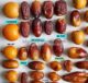 Karakterisasi Tahap Pematangan dan Komposisi Fenolik Buah dari Berbagai Kultivar Kurma ( Phoenix dactylifera L.) di Australia