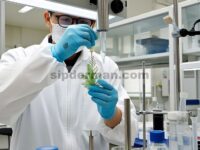 Metabolit Sekunder dan Aktivitas Biologis dari Achillea gypsicola Hub-Mor. pada Aplikasi Daun Kitosan dan Asam Salisilat