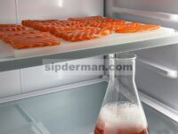 Efek Sinergis Asam Glutarat Dengan Asam Sorbat Dan Natrium Bisulfit Dalam Menjaga Kualitas Ikan Salmon Iris Dan Cincang Yang Disimpan Di Kulkas