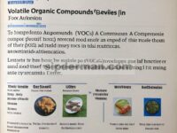 Tinjauan Komprehensif tentang VOC sebagai Indikator Utama dalam Autentikasi Makanan