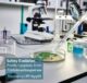 Evaluasi keamanan enzim pangan prolil oligopeptidase dari strain Trichoderma reesei hasil rekayasa genetika DP-Nyq99