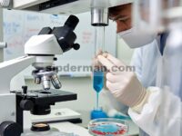Polisakarida Cordyceps militaris yang Diperkaya Selenium Mengurangi Resistensi Insulin pada Sel HepG2 dengan Mengatur Jalur Sinyal PI3K/AKT/GLUT4