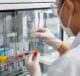 Bioavailabilitas dan modulasi mikrobiota usus polifenol dari cangkang Camellia oleifera selama pencernaan dan fermentasi in vitro