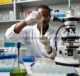 Membuka Jalan Baru untuk Aplikasi Fungsional Multi-Arah Melalui Analisis Kimia dan Biologi In Vitro Ekstrak Zoegea leptaurea L.