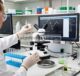 Analisis Keanekaragaman Bakteri dalam Kolostrum Sapi Jersey dan Susu Matang serta Studi Fungsi Probiotik Ligilactobacillus salivarius CR29