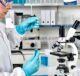 Keamanan Clostridium butyricum TO-A sebagai makanan baru sesuai dengan Peraturan (UE) 2015/2283