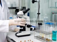 Pengaruh Asam α-Linolenat terhadap Integritas Barier Usus dan Status Antioksidan Usus pada Ayam Pedaging