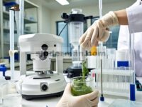 Senyawa Bioaktif pada Makanan Berbasis Tumbuhan: Ekstraksi, Isolasi, Identifikasi, Karakteristik, dan Aplikasi yang Muncul