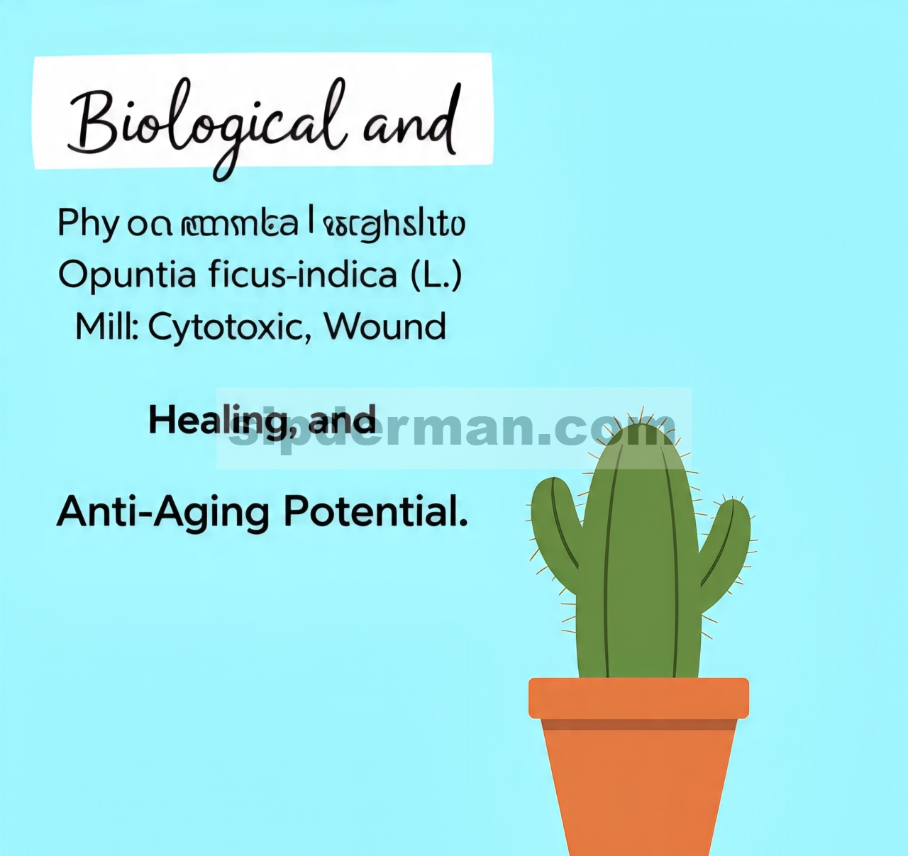 Wawasan Biologis dan Fitokimia Mengenai Opuntia ficus-indica (L.) Mill: Potensi Sitotoksik, Penyembuhan Luka, dan Anti Penuaan
