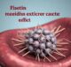 Studi Mekanisme Fisetin dalam Memberikan Efek Anti-Kanker Hati dengan Mengatur Perangkap Ekstraseluler Neutrofil