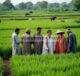 Meningkatkan Keragaman Pangan dan Keamanan Gizi Melalui Keragaman Produksi Pertanian: Bukti dari Daerah Sawah Hujan di Punjab Selatan, Pakistan